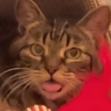 Telegram profile photo for курильщикам трудно без плана