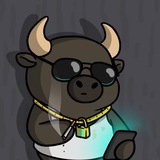 Telegram profile photo for DM