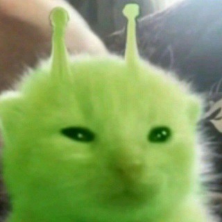 Telegram profile photo for Радиоволна 7