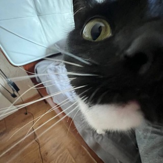 Telegram profile photo for кузькина мама