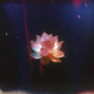 Telegram profile photo for Aesthetic Vision