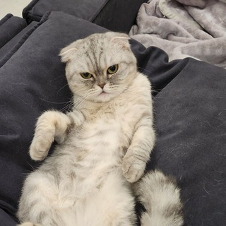 Telegram profile photo for Берлога Друшляка