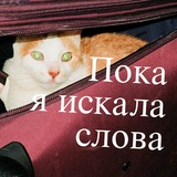 Telegram profile photo for Пишу страдаю