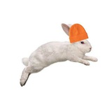 Telegram profile photo for Шушка учится и ищет 🦄🚁