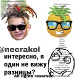 Telegram profile photo for necrakol