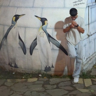 Telegram profile photo for Penguin🐧