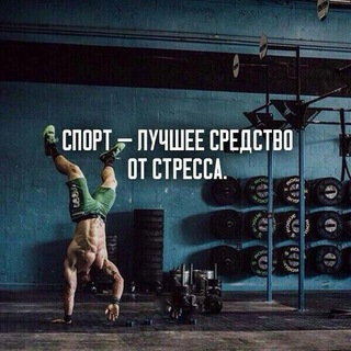 Telegram profile photo for WORKOUT120