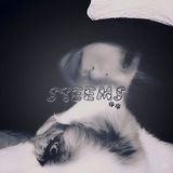 Telegram profile photo for ♯ᏚᎢΞΞᎷᏚ ˎˊ˗