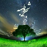 Telegram profile photo for شجره طیبه