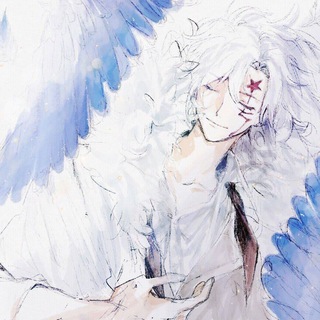 Telegram profile photo for Nocturne Service