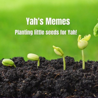 Telegram profile photo for Yah's Memes