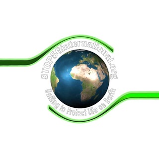Telegram profile photo for SAFE TECH International