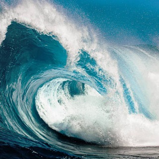 Telegram profile photo for Forex Signals Ocean π¦