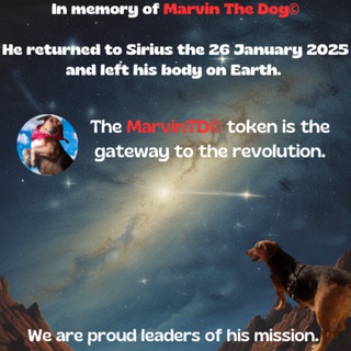 Telegram profile photo for Marvin The Dog© ! Official Channel !