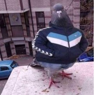Telegram group profile photo for Vos'merka Chat