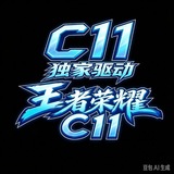 Telegram profile photo for C11独家驱动解密