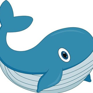 Telegram profile photo for Whalers Club 🐳
