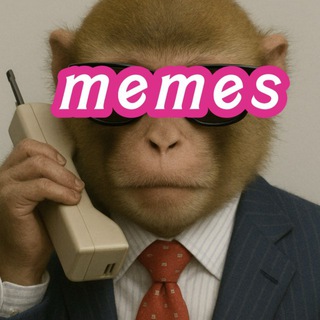 Telegram profile photo for DGSR MEMES 💯