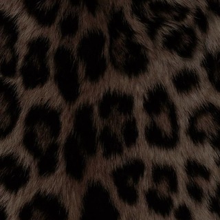 Telegram profile photo for 🐆🐆🐆