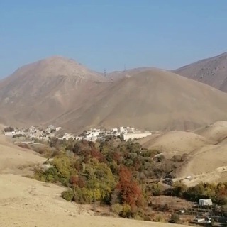 Telegram profile photo for اطلاع رسانی سیاهکلاهان