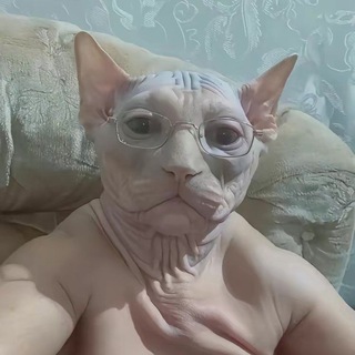 Telegram profile photo for Анекдоты низкого уровня