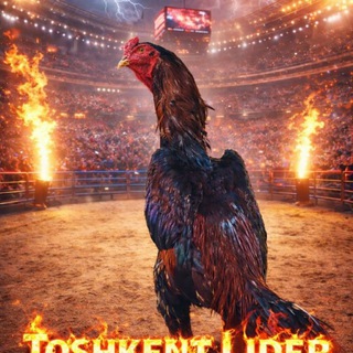 Telegram profile photo for ТОШКЕНТ ЛИДЕР