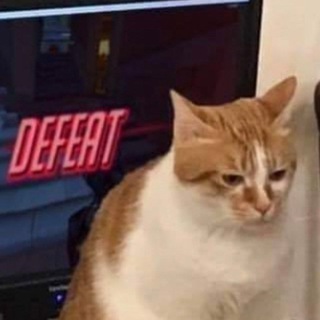 Telegram profile photo for ginga cat (garfield fan club)