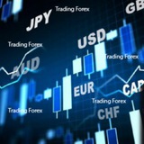 Telegram profile photo for Forex Trading