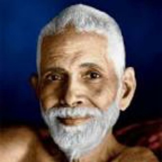 Telegram profile photo for Yogi crude oil experts(APASB)