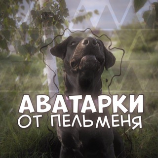 Telegram profile photo for 𝘼𝙫𝙖𝙩𝙖𝙧𝙨 𝙛𝙧𝙤𝙢 𝙥𝙚𝙡𝙢𝙚𝙣𝙮𝙖👾