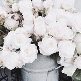 Telegram profile photo for rosévorys gālerie.