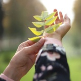 Telegram profile photo for 🍃دَرهَــم و بَرهَــم🍃