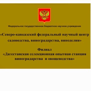 Telegram profile photo for Дагестанская селекционная опытная станция виноградарства и овощеводства - филиал ФГБНУ СКФНЦСВВ