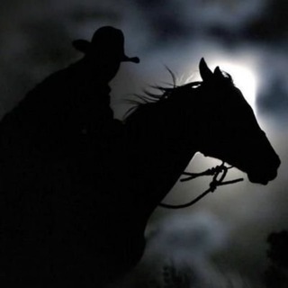 Telegram profile photo for Redpill Drifter