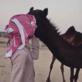 Telegram profile photo for هوآجيـَـس ₉₁₂ . .