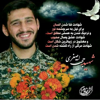 Telegram profile photo for كانال شهیدحجت اصغری شربیانی