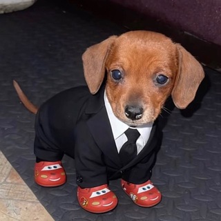 Telegram profile photo for Что вряд ли то вряд ли