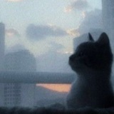 Telegram profile photo for aстра у микро