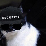 Telegram profile photo for Охрана