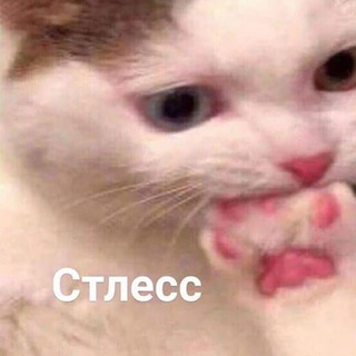 Telegram profile photo for GIFки для важных переговоров
