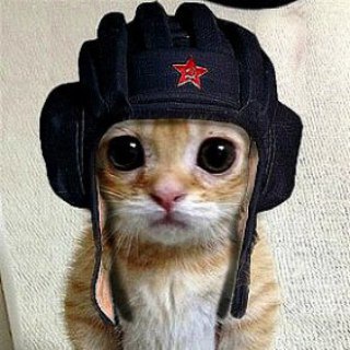 Telegram profile photo for Сарказмы на злобу дня