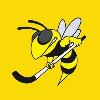 Telegram profile photo for Murmanbandy🏑Мурманбенди