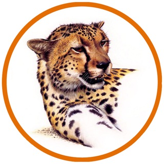 Telegram profile photo for GGroup