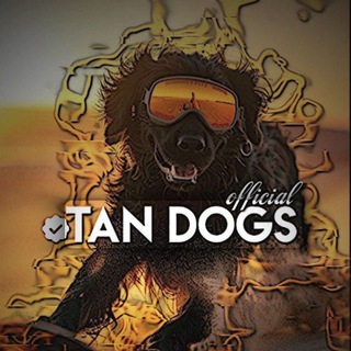 Telegram profile photo for логово белобрысого тайсона