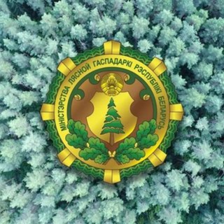 Telegram profile photo for Лепельский лесхоз