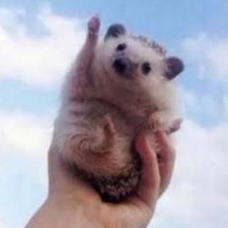 Telegram profile photo for 허위정보채널