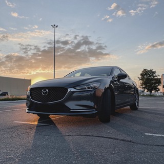 Telegram profile photo for mazda_shark