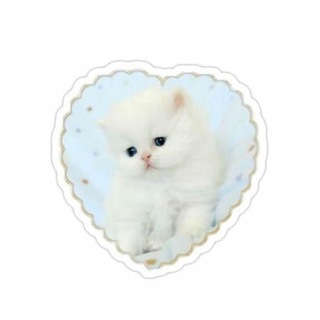 Telegram profile photo for Cute kittens/Милые котятки
