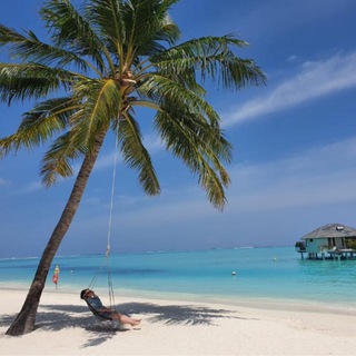 Telegram profile photo for Отдых мечты 🌊🏝️