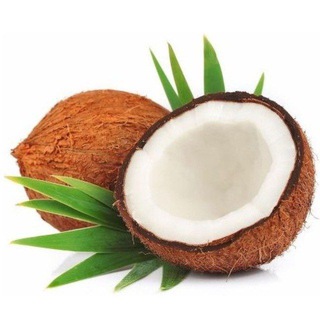 Telegram profile photo for cocofinds official best recommendation